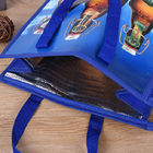 지퍼로 격리되는 OEM 로고에 의하여 인쇄되는 냉각기 핸드백 점심 피크닉 끈달린 가방